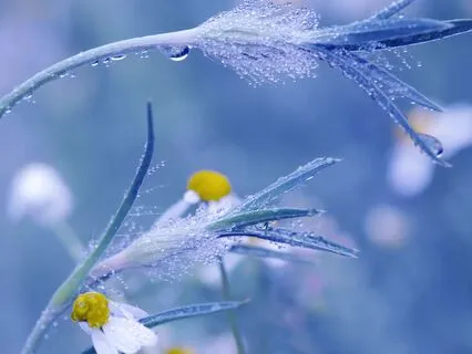 Opening Through Breath: Body, Vibration & Loving Presence