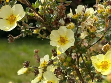 Opening To Divine Support