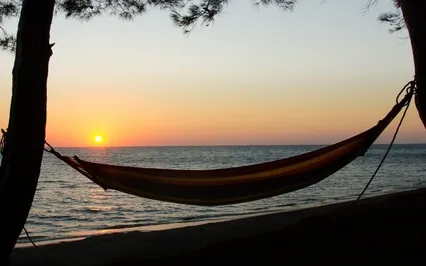 Opening To Ease Lecture