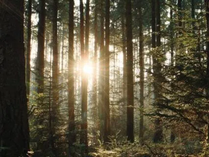 Opening To Good Fortune And Ease