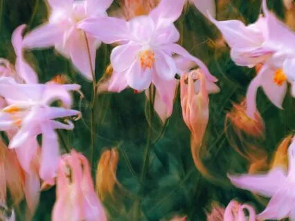 Opening To Infinite Love