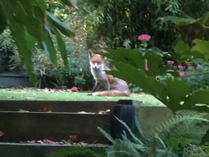 Opening to Life Meditation