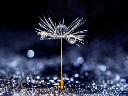 Opening To Life On 11 11