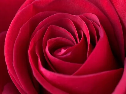 Opening To Love Guided Heart Chakra Practice