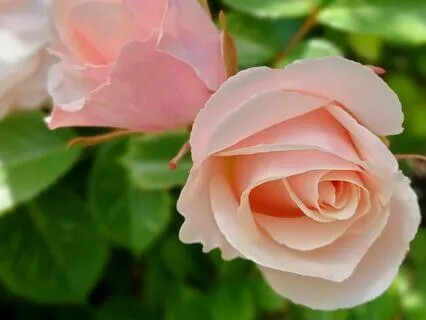 Opening To Love With Archangel Chamuel And Archangel Uriel