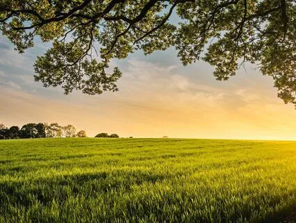 Opening To Our Fields Of Awareness