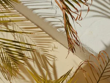 Opening To Our Internal And External Environment