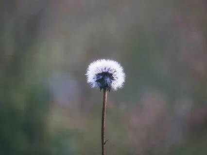 Opening To Vulnerability