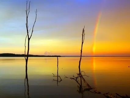 Opening Up Neural Pathways To Now