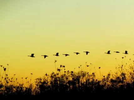 Opening Up To Choice In Times Of Challenge 