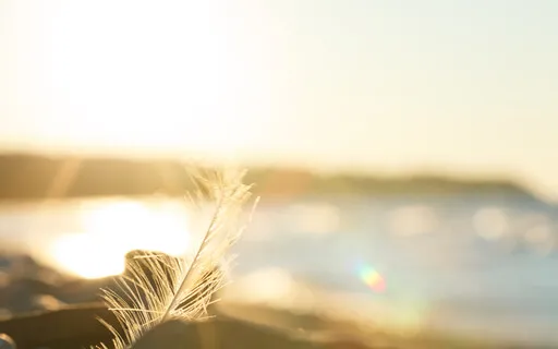 Opening Up To Vulnerability 