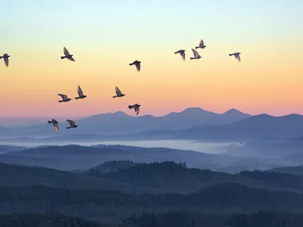 Opening Your Heart Space 