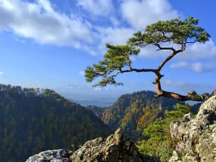 Opening Your Heart To Infinite Possibility