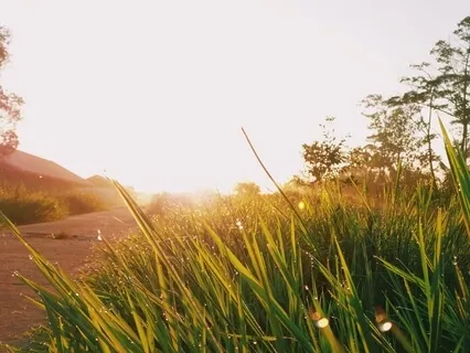 Opening Your Heart To Love