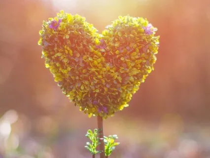 Opening Your Spiritual Heart