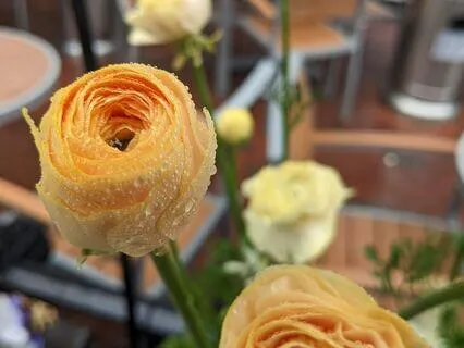 Open Space | Mindful Motivation