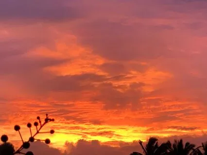 Opportunities In Life Changes