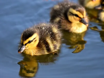 Opportunities Instead Of Obstacles: Brief Spoken Word Inspiration