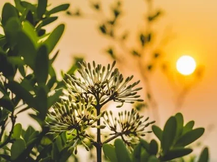 Infusing Joy Into Identity