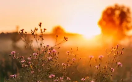 Optimistic Morning Affirmations For Hope & Positivity