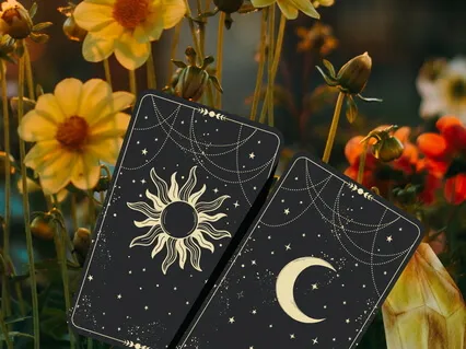 Optimistic Oracle Card Reading Of The Week