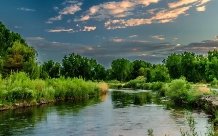 Opus 1 Achieving Dreams