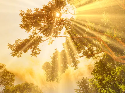 Orange Tara Dispelling Sickness: Rimney Salwey Drolma