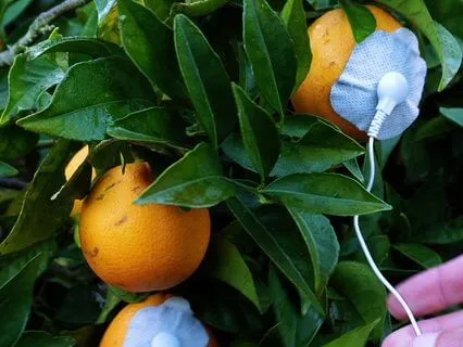 Orange Vibrations For Deep Sleep And Inner Calm 432Hz