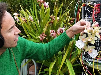 Orchid Stillness: A Journey Into Presence And Light