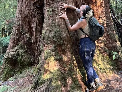 Order Amongst Chaos: Reconnect Daily