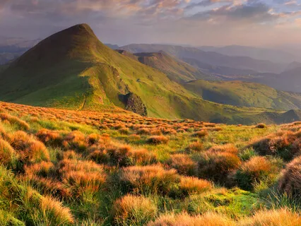 Organ Tissue Repair (285 Hz) Solfeggio Scale