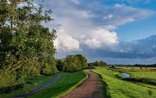 Organic Cornflakes And Cold Brewed Coffee