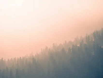 Organic Sound Healing - Go Within