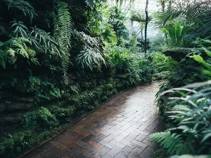 Organic Stimulation – Natural Vibrations For Plant Vitality