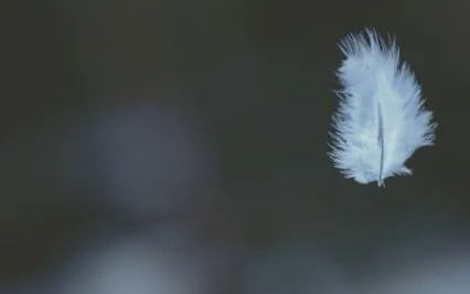 Orient The Body For Calming Nerves