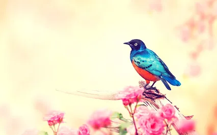 Oriental Bird (Soothing Piano, Relaxation, Meditation)