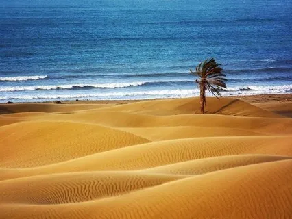  Oriental Conscious Trance (OTC)