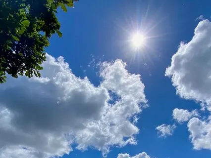 Orientation For Soothing The Nervous System