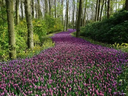 Orienting For Stress And Anxiety Relief