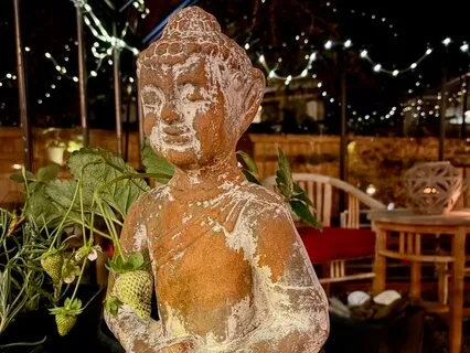 Orienting To Self Awareness - Introductory Practice