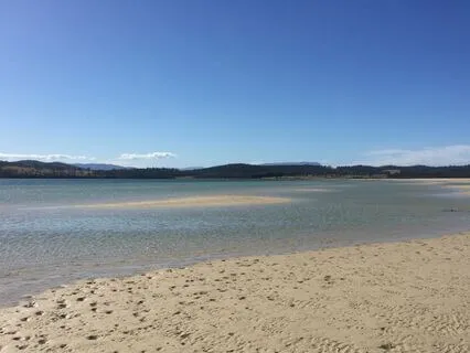 Orienting To Silence