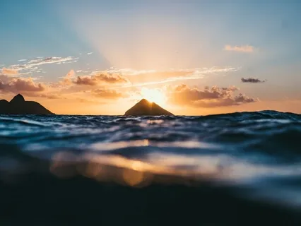 Origin & Arrival - Exploring Ancestry