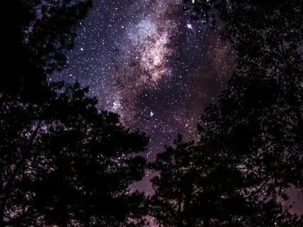 Orion Starseed Yoga Nidra | The Wisdom Keepers