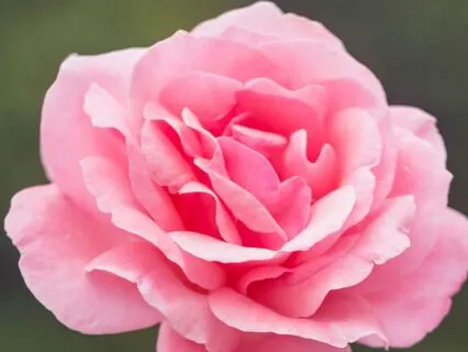 Os 12 Minutos Que Podem Transformar o Teu Ser