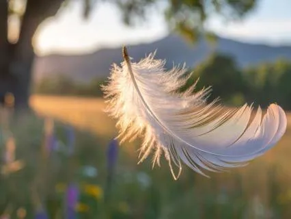 Os Cinco Eixos Da Gratidão