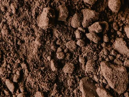 Oscillating Brown Noise