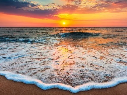 Osmunda Music Guided Meditation - Breathe Gratitude