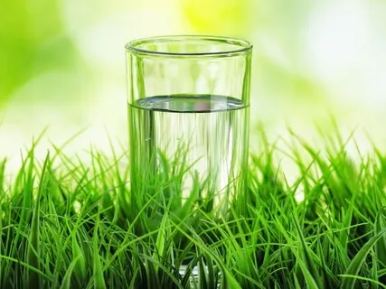 Осознанная еда 4