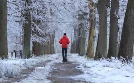 Осознанная Прогулка