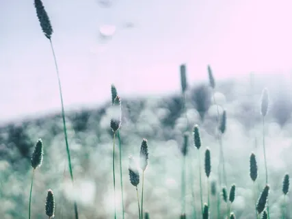 Осознанное Cострадание. Работа с Дискомфортом и Болью